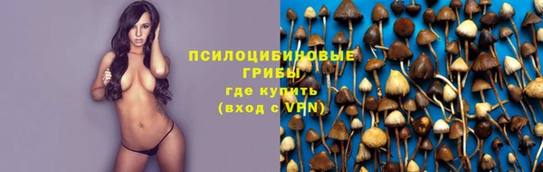индика Бежецк