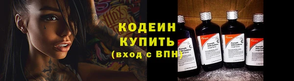 гидра Белая Холуница