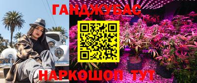 твердый Партизанск