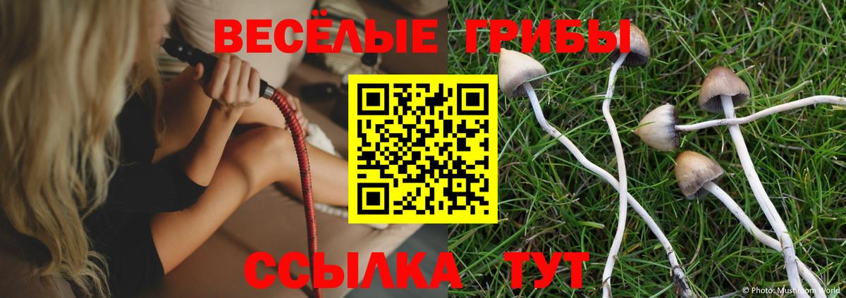 Псилоцибиновые грибы прущие грибы  Вход с VPN  Одинцово  как найти наркотики  Псилоцибиновые грибы Magic Shrooms 